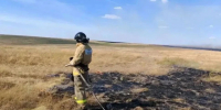 В Гайском округе ликвидировали ландшафтный пожар на 3 тысячах га - Комсомольская Правда