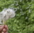 Фото © magnific.com - KaspyInfo.Ru
