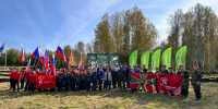 Более 2,5 млн деревьев уже высажено в Кузбассе в 2026 году - Администрация области