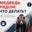 Встретил медведя в лесу? - Венгеровский район