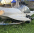 Фото ФССП по НСО - Iskitim-Gazeta.Ru