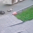 В Нижнем Тагиле женщина и ребёнок выпали из автобуса из-за не закрытых дверей - ИА Уральский меридиан