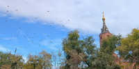 До +30 градусов, а потом снежинки: какая погода в Кургане будет в сентябре - Область 45