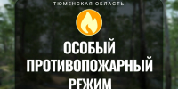 В Тюменской области отменён особый противопожарный режим - Сетевое издание Ишимская правда