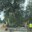 Фото: администрация Благовещенска - Амурское областное телевидение