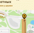 Пермяков ждут в зоопарке с кабачками для питомцев - Комсомольская Правда