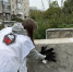 Фото: мэрия Барнаула - Алтайская правда