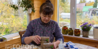 До заморозков скупаю дегтярное мыло и больше не переживаю за дом: городские не знают, а деревенские давно смекнули - ProGorodNN.Ru