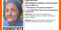 В Йошкар-Оле ищут пенсионерку в синем берете - Марийская правда