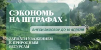 Уважаемые предприниматели производители и импортеры товаров, упаковки товаров, которые не обеспечивают самостоятельную утилизацию отходов! - Федоровский район