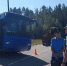 Ярославский водитель осужден в Ленинградской области за ДТП на переезде - Газета Новый вестник