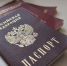 Новосибирец предстанет перед судом за использование поддельных паспортов - Gorsite.Ru