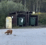 В Боталово-3 и Боталово-4 привели в порядок контейнерные площадки - Tvoy-Bor.Ru
