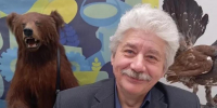 «Мы уже не доминирующий вид»: охотовед о нашествии медведей на Красноярский край. Фото: КрасГАУ, «Шушенский бор», Дикая природа России - Седьмой канал