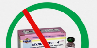Производитель вакцины для кошек оценил возможные побочные эффекты - YarNews.Ru