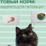 Натуральное питание или готовый корм — что лучше для питомца? - Департамент ветеринарии