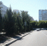 20 шестиметровых елей высадили в Театральном сквере Новосибирска - КП-Новосибирск
