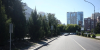 20 шестиметровых елей высадили в Театральном сквере Новосибирска - КП-Новосибирск
