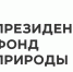 На изображении — логотип «Президентский фонд природы»: стилизованное дерево с чёрным стволом и ветвями, над которым расположены два листа (жёлтый и градиентно‑зелёный), справа — название фонда тёмно‑серым шрифтом. - Коркинский муниципальный округ