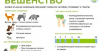 Бешенство: как защитить себя и близких - Всеволожский район