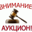 Информация  о проведении аукционов в электронном виде на право заключения договора аренды лесного участка, находящегося в государственной собственност. - Богородский муниципальный округ