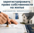 a027cea7-0c97-43e1-99f8-ba1d832cc115.jpg - Газета Перекресток России