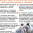 Медведи в национальном парке: посещение ещё двух маршрутов приостановлено - Заповедное Прибайкалье
