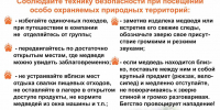 Медведи в национальном парке: посещение ещё двух маршрутов приостановлено - Заповедное Прибайкалье