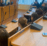 JPEG Файл - УМВД по Екатеринбургу 