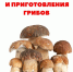 Пресс-релиз "Грибная пора:ЧЕК-ЛИСТ БЕЗОПАСНОГО СБОРА, ЧИСТКИ И ЗАГОТОВКИ ГРИБОВ" - Пильнинский муниципальный округ