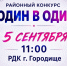 Районный конкурс «Один в один» - Городищенский район