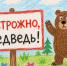 ФГБУ «Заповедное Прибайкалье» предупреждает, что на территории Прибайкальского национального парка участились случаи встреч с бурым медведем - Агентство по туризму