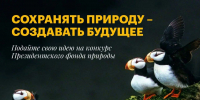 Саратовцев приглашают принять участие в конкурсе экологических и природоохранных проектов - Известия Саратов