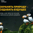 Саратовцев приглашают принять участие в конкурсе экологических и природоохранных проектов - Комсомольская правда