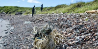 Береговую полосу морского заповедника на острове Попова очистили от мусора - ГТРК Владивосток