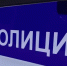 Омичка потеряла 109 тысяч рублей при покупке щенков мальтипу - Om1.Ru