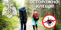 МЧС России напоминает: осторожно, клещи! - ГУ МЧС России