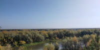 В Омской области официально объявили бабье лето - СуперОмск