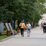 Как отдохнуть белгородцам 4–6 сентября - БелПресса