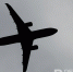Air Tanzania объявила о приостановке авиарейсов в Москву - Реальное время