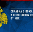 Справка о пожарах и последствиях от них за 8 месяцев 2026 года - МЧС Псковской области