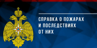 Справка о пожарах и последствиях от них за 8 месяцев 2026 года - МЧС Псковской области