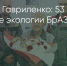 Поделитья во ВКонтакте - Братская Студия Телевидения