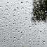 Фото: pixabay.com - Kgzt.Ru