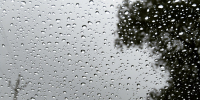 Фото: pixabay.com - Kgzt.Ru