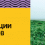 По итогам экспедиции на Шумшу созданы образовательные материалы для изучения истории острова - Министерство молодежной политики