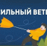 В Орловской области прогнозируются порывы ветра до 20 м/с. Будьте внимательны! - МЧС