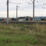 Комбайн попал в ДТП на ж/д переезде в Нижегородской области - фото 1 - vGorodeN.Ru