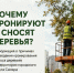 О кронировании и сносе деревьев в Самаре - Администрация городского округа Самара