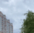 Орловцев предупредили о сильном ветре и грозах - РИА 57